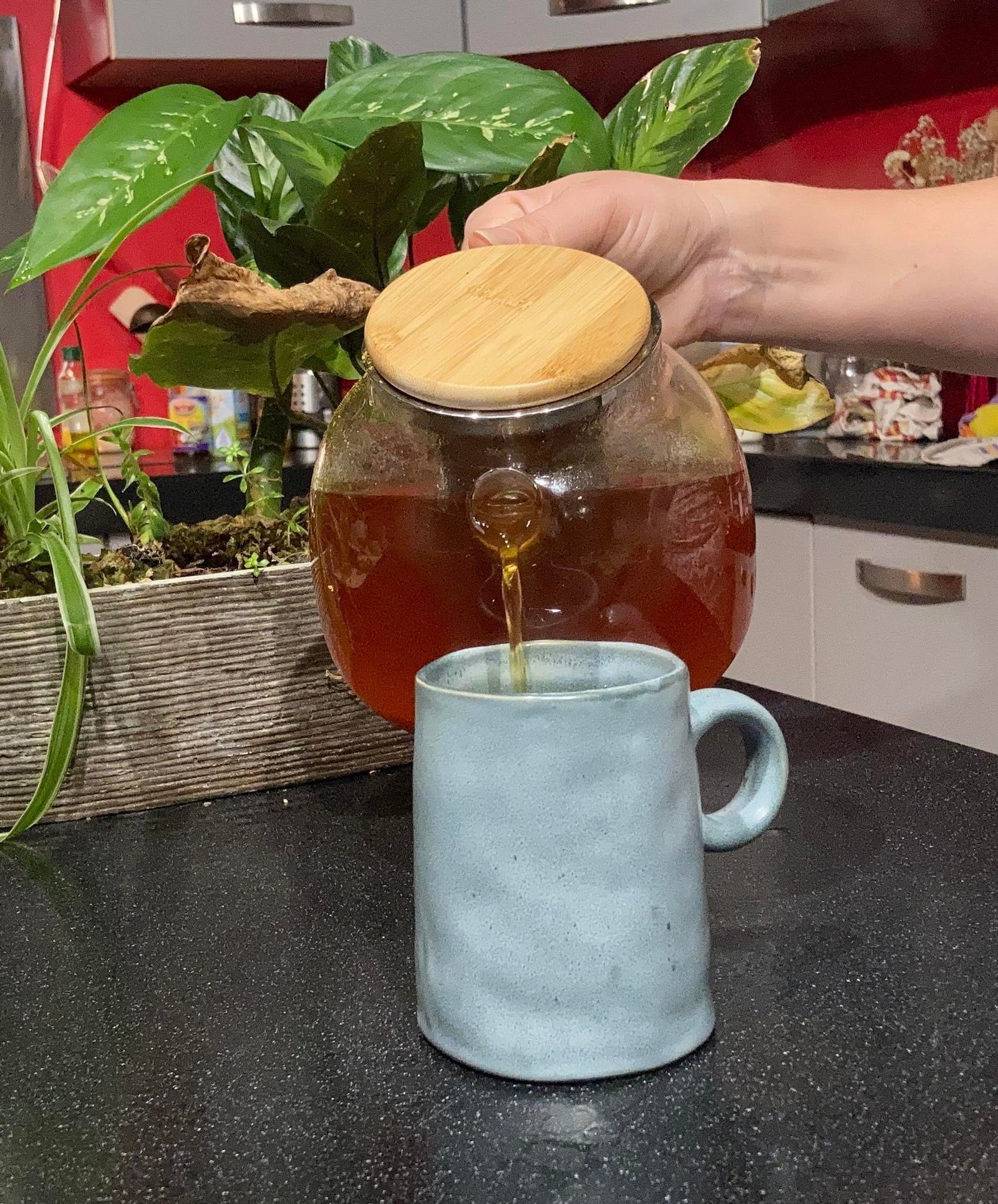 Infusion Curcuma Gingembre. 100g